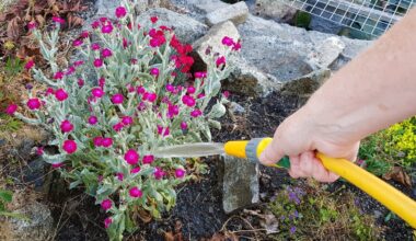 Hosepipe ban in place amid new weather warning