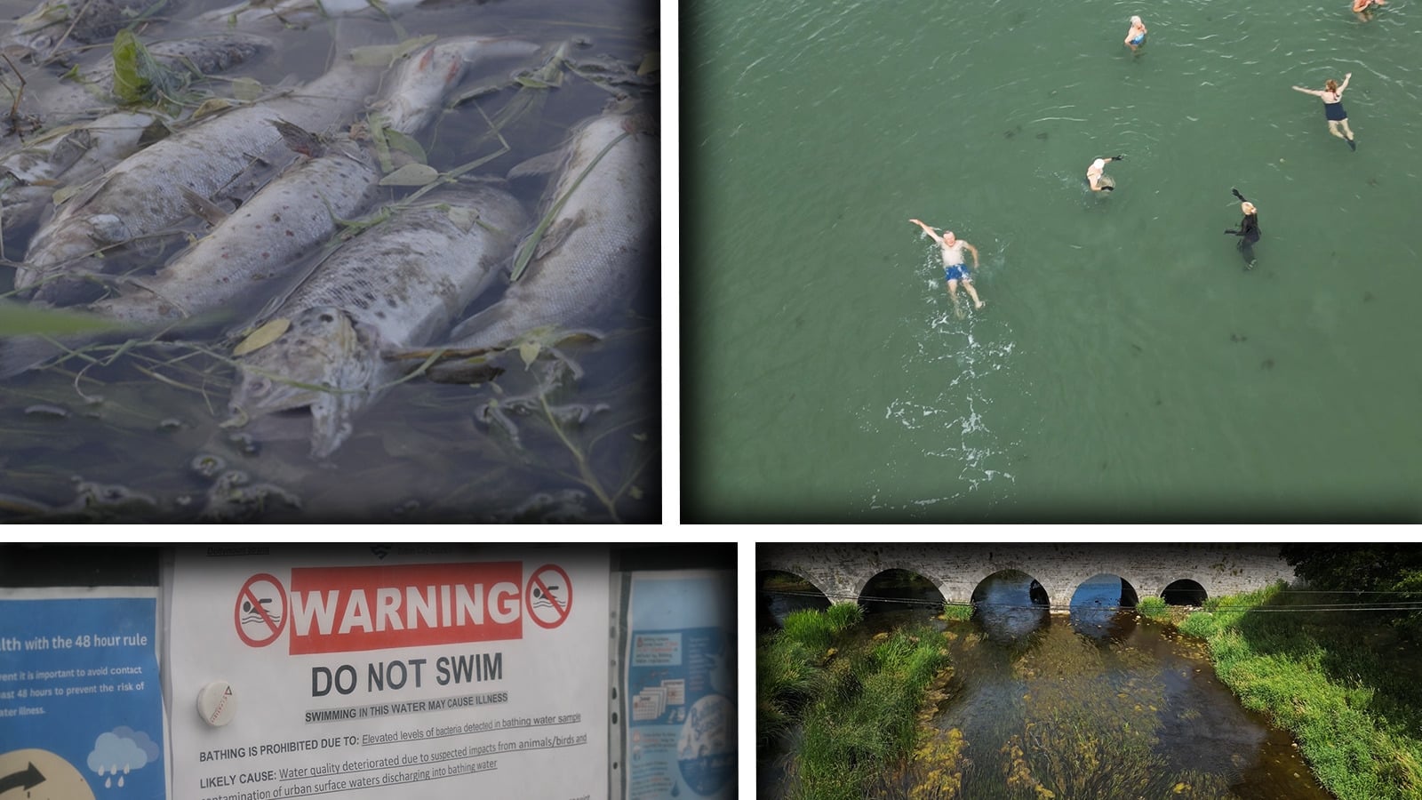 'Our river is dying' – Locals warn of strain on Ireland's waters
