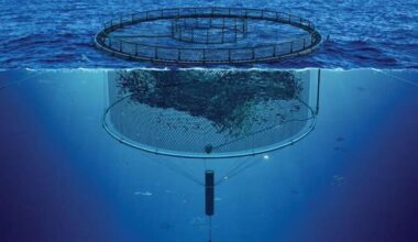 He Wanted to Track Microplastics in the Sea. The E.P.A. Fired Him.