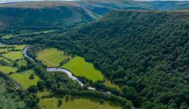 RSPB buys 'magical' landscape to support rare Celtic rainforest and endangered birds