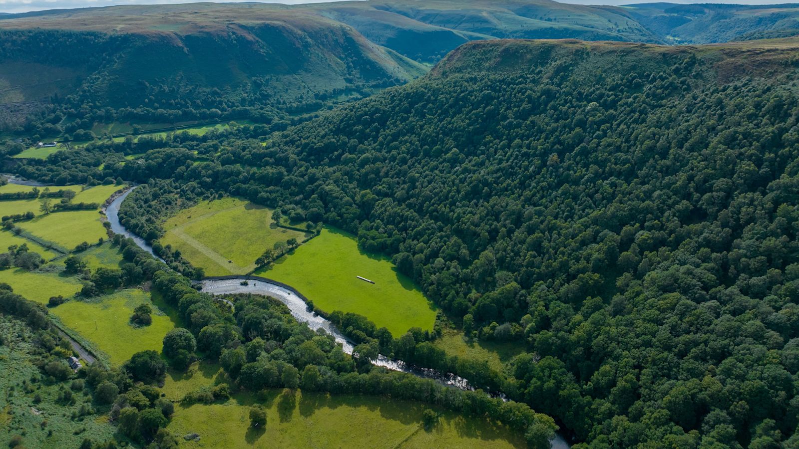 RSPB buys 'magical' landscape to support rare Celtic rainforest and endangered birds