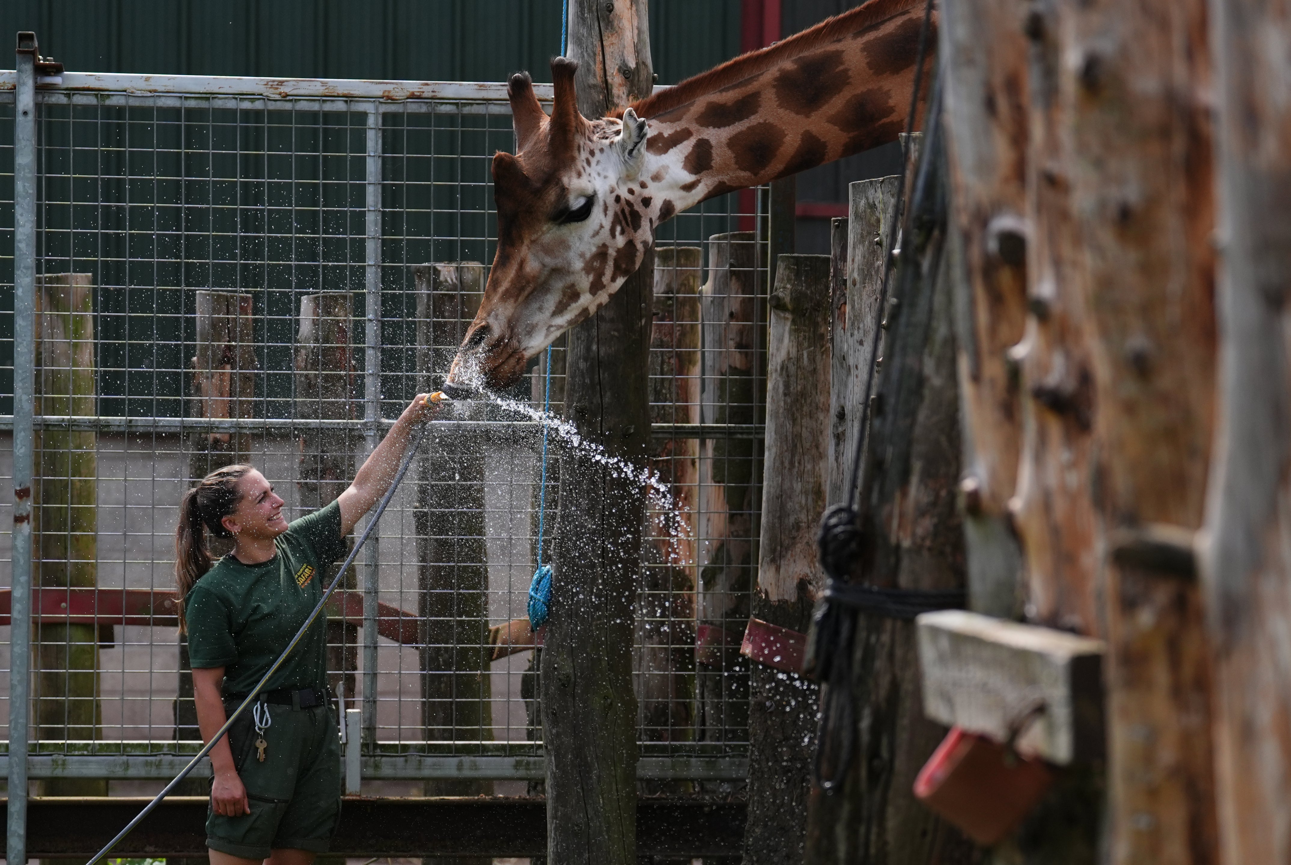 Using hosepipes for animals is allowed