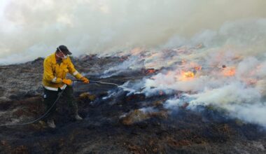 We’re wildfire experts. Here’s what the UK can learn from Australia