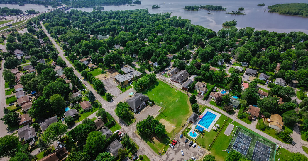 A Town in Quebec Is the First Governing Body to Adopt the Universal Declaration of the Rights of Trees