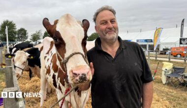 Stuart Wood, who has short grey hair and facial stubble, wearing a black, short-sleeved polo shirt. He is stood in an enclosure holding a brown and white cow, smiling at the camera. Cows can be seen in the background.