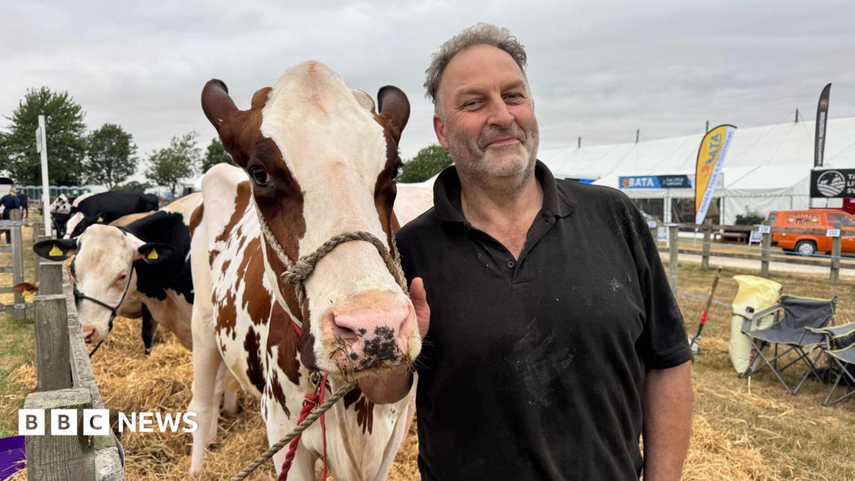 Stuart Wood, who has short grey hair and facial stubble, wearing a black, short-sleeved polo shirt. He is stood in an enclosure holding a brown and white cow, smiling at the camera. Cows can be seen in the background.