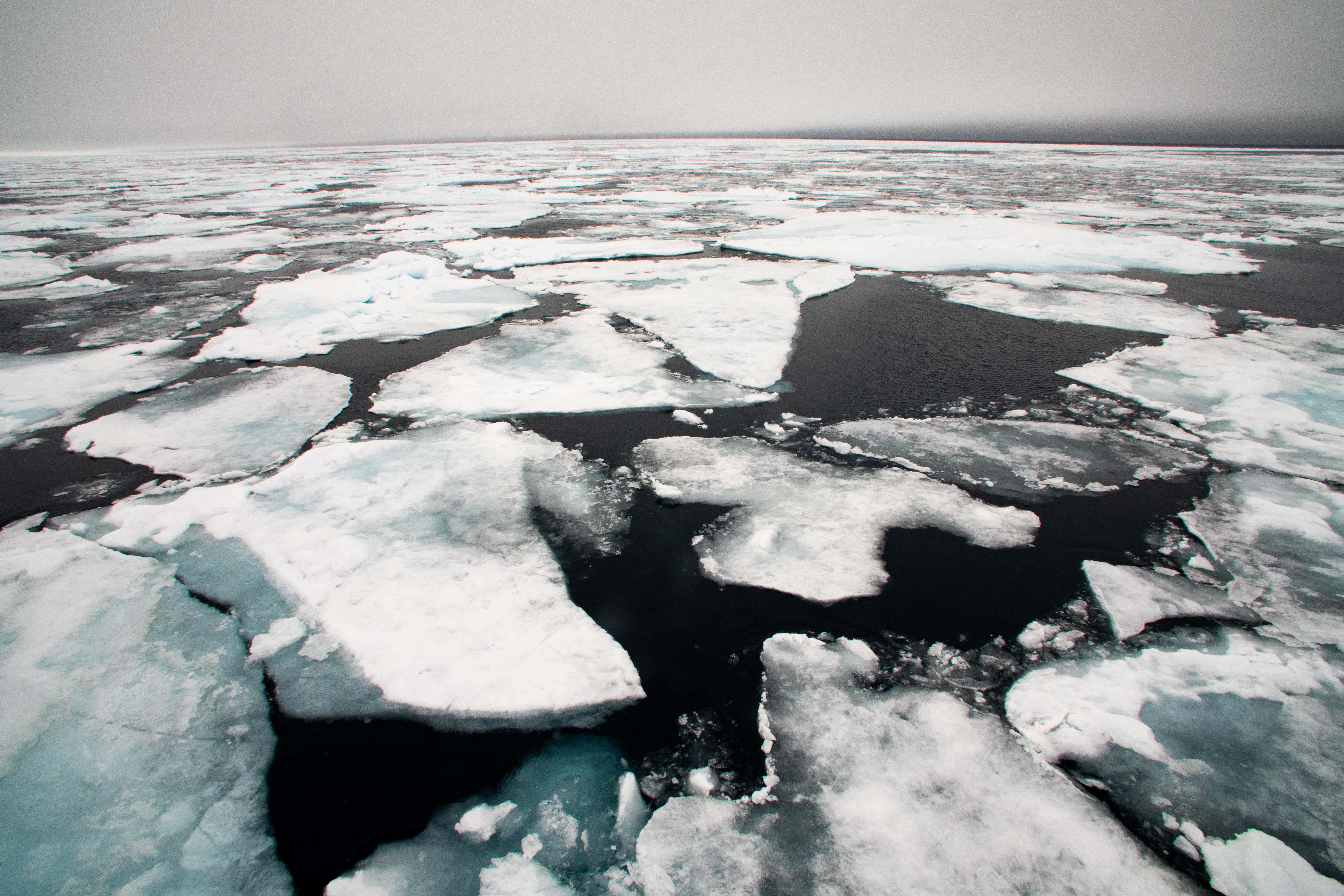 Broken Arctic sea ice