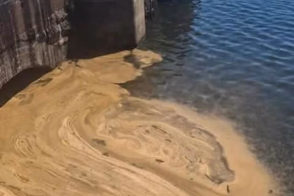 Natural Resources Wales said they believed the colour was algae affected by the hot weather