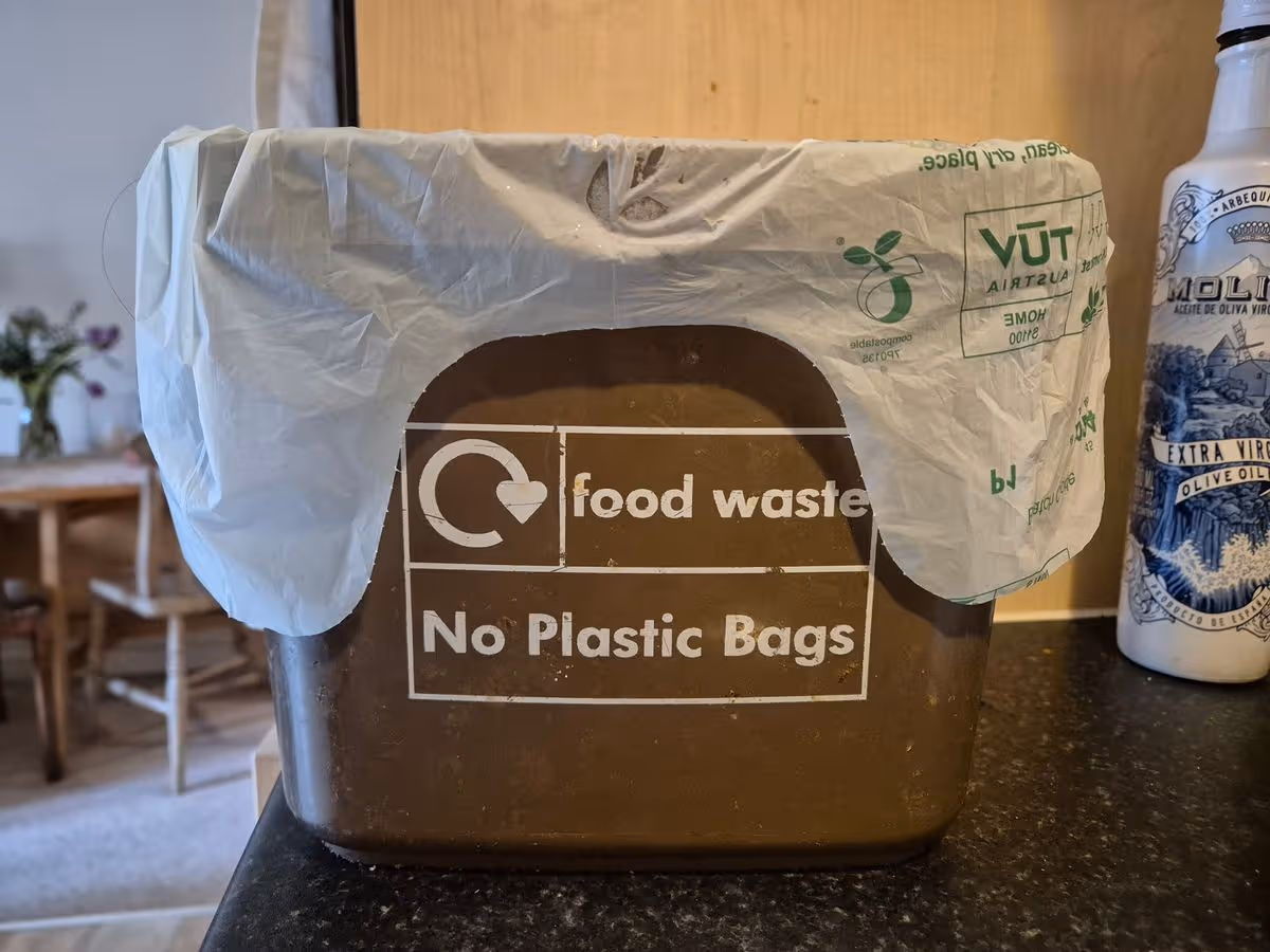 Food waste caddy