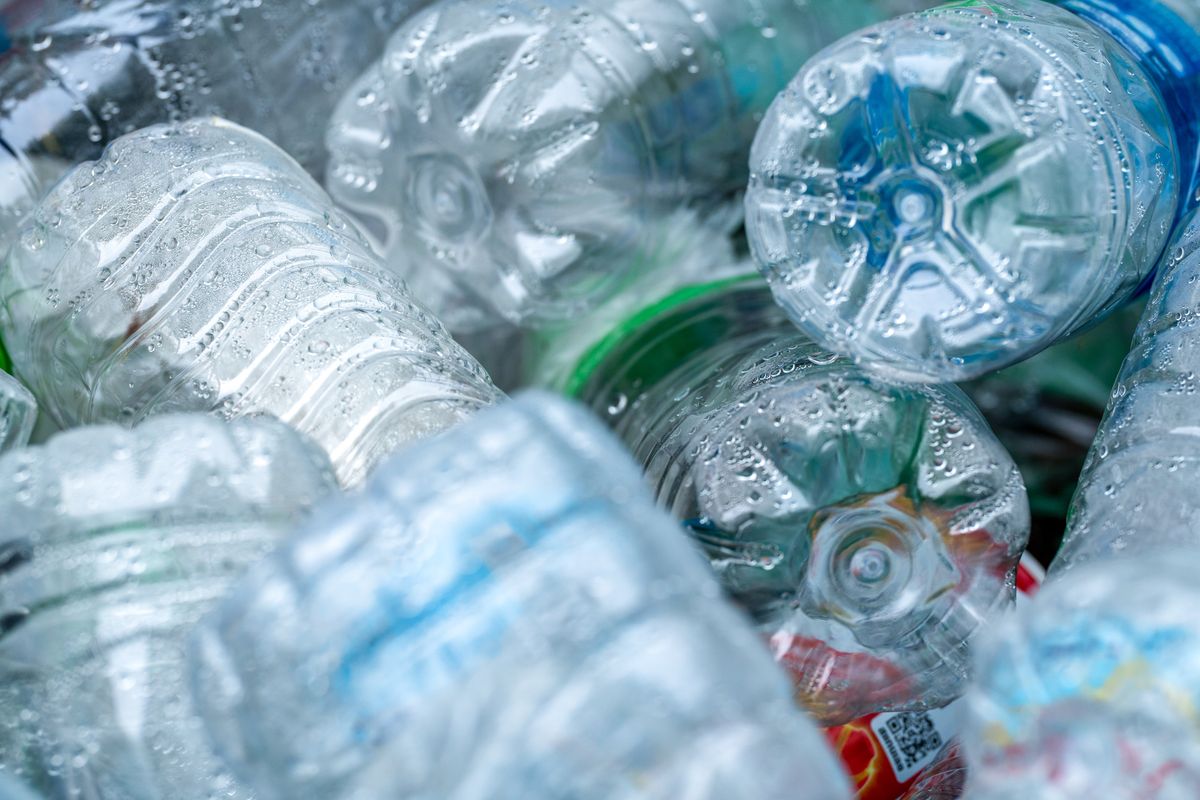 Plastic drink bottles in a recycling bin