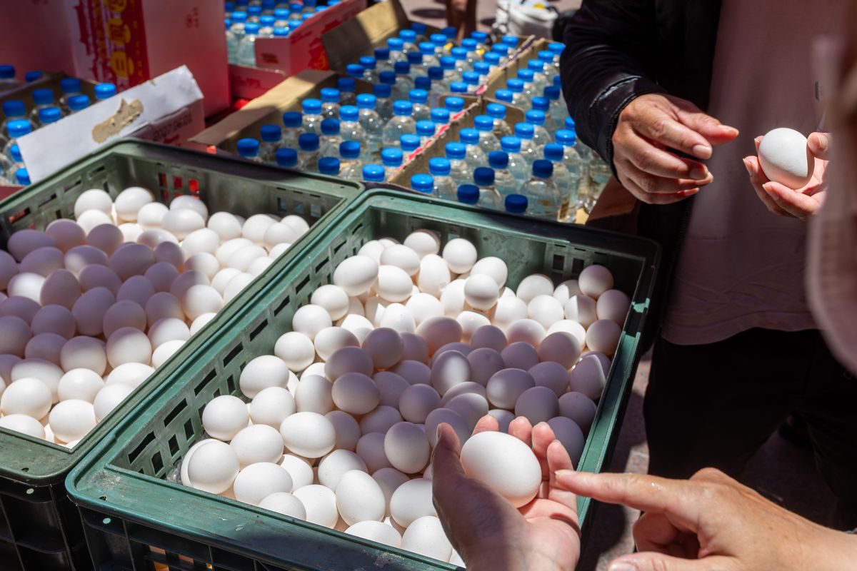 TAINAN, TAIWAN - JUNE 19: People pick out raw eggs from plastic crates provided at Sanfeng Temple to take part in the traditional egg balancing event during the Dragon Boat Festival on June 19, 2026 in Kaoshiung, Taiwan. (Photo by Cheng Chia Huang/Getty Images)