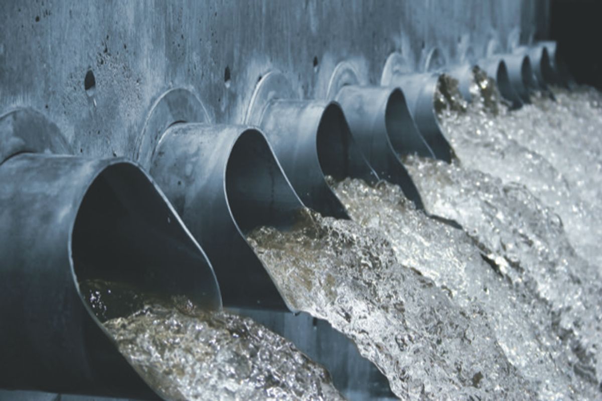 Northumbrian Water has made Enforcement Undertaking offers after the Environment Agency investigated two incidents of pollution