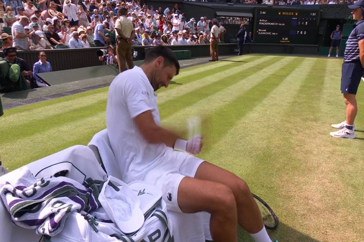 Novak Djokovic Wimbledon punch