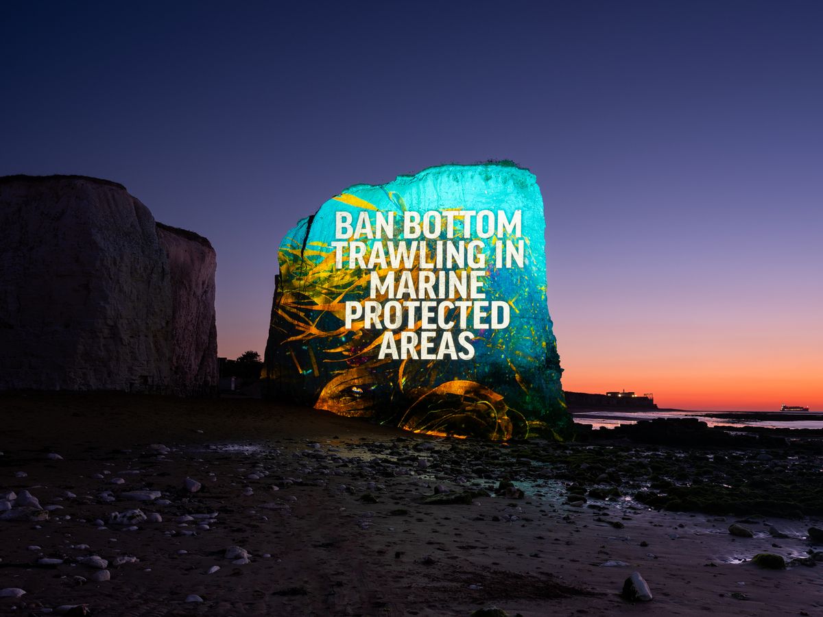 Projection stunt on the white chalk cliffs of Botany Bay, Kent, overlooking a threatened wildlife sanctuary and calling for bottom trawling to be banned in all marine protected areas.