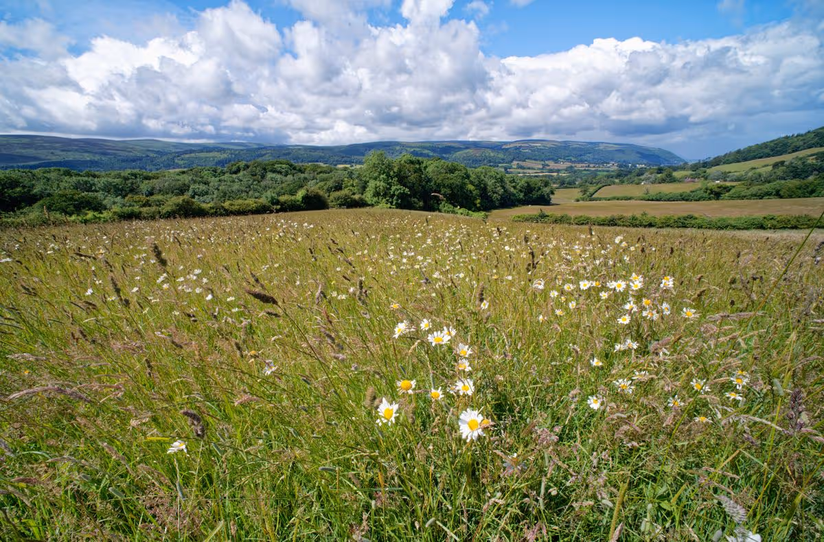 The Holnicote Estate is run by the National Trust