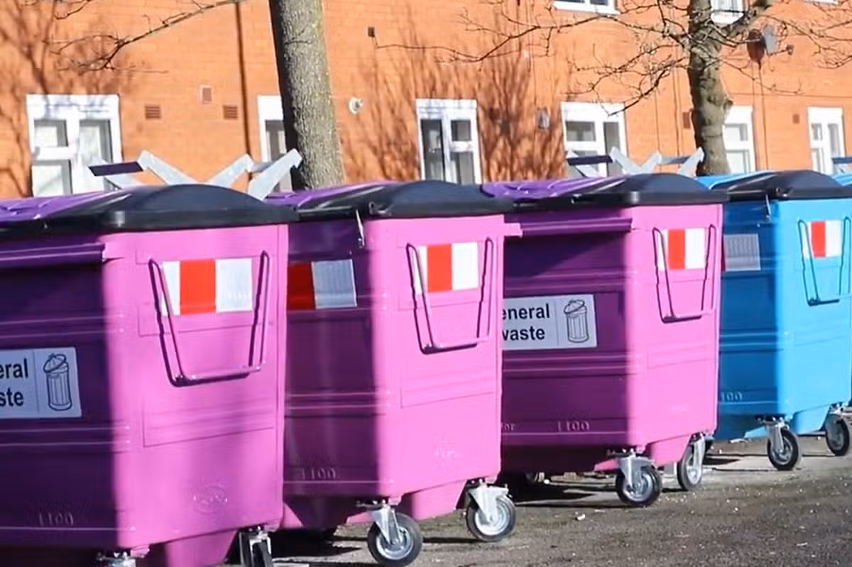 The communal bins like these across the city are in line for an upgrade