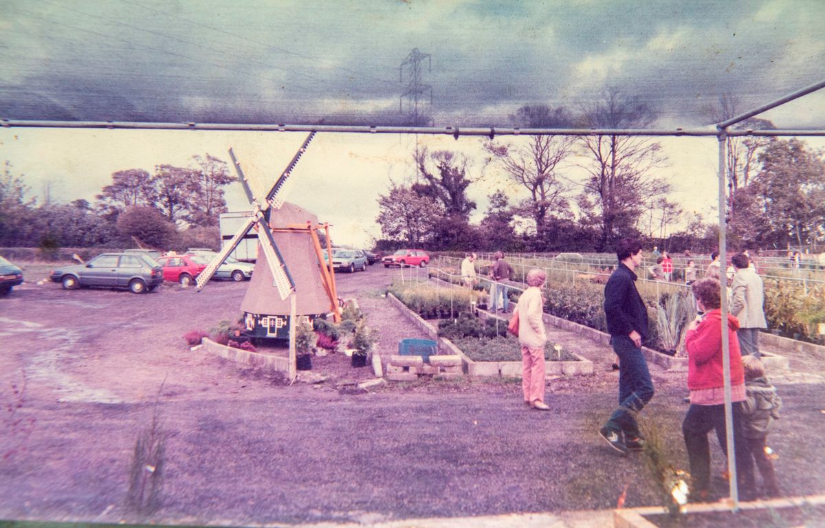 Old photo include a windmill taken in 1983/84 of the dutch garden centre cardiff that's closing