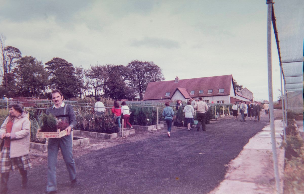 Photo of people wandering around the dutch garden centre cardiff in either 1983 or 1984