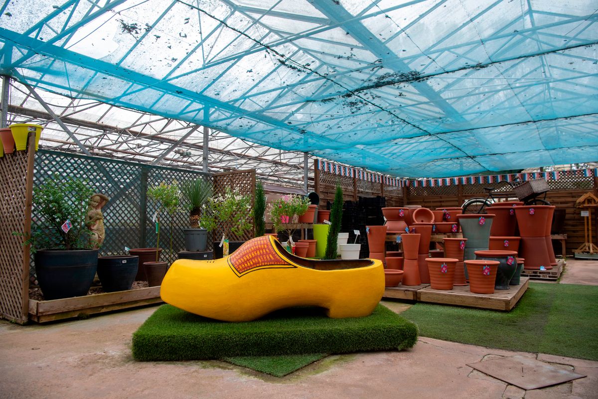 Giant yellow clog as a display item surrounded by pots at the Dutch Garden centre, Cardiff, which is closing after 50 years. 