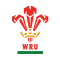 Wales U20