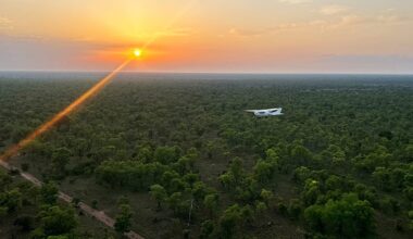 UNESCO lists South Sudan's antelope migration route as world heritage in danger