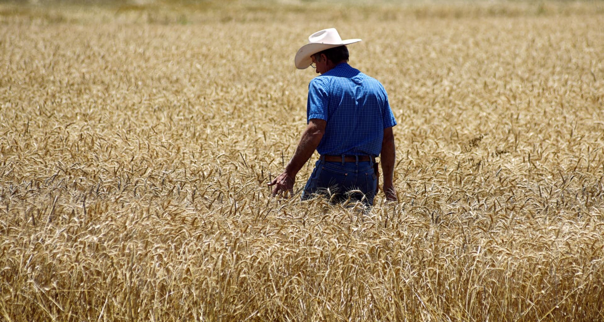 From Super El Niño to Europe’s heatwave: How to trade extreme weather