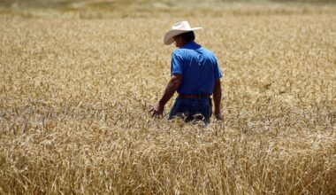 From Super El Niño to Europe’s heatwave: How to trade extreme weather