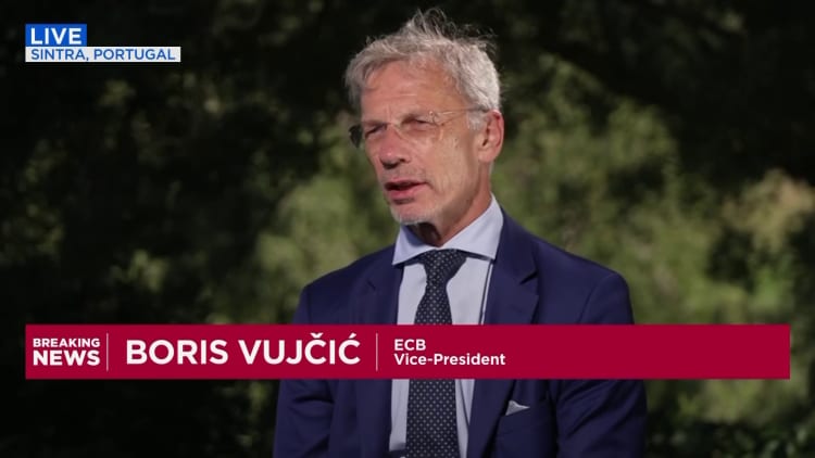 'Potential rate of growth in Europe is still very low': ECB's Vujčić