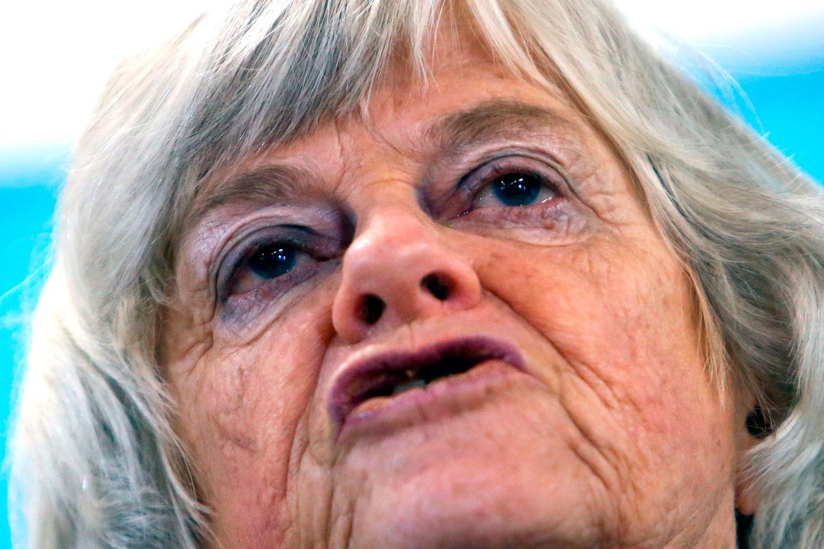 Google AI meant it took me 9 seconds to find Ann Widdecombe’s full address and directions to her house