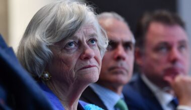 Ann Widdecombe murder latest: Zia Yusuf accuses rival parties of ‘incitement’ following killing of Reform politician