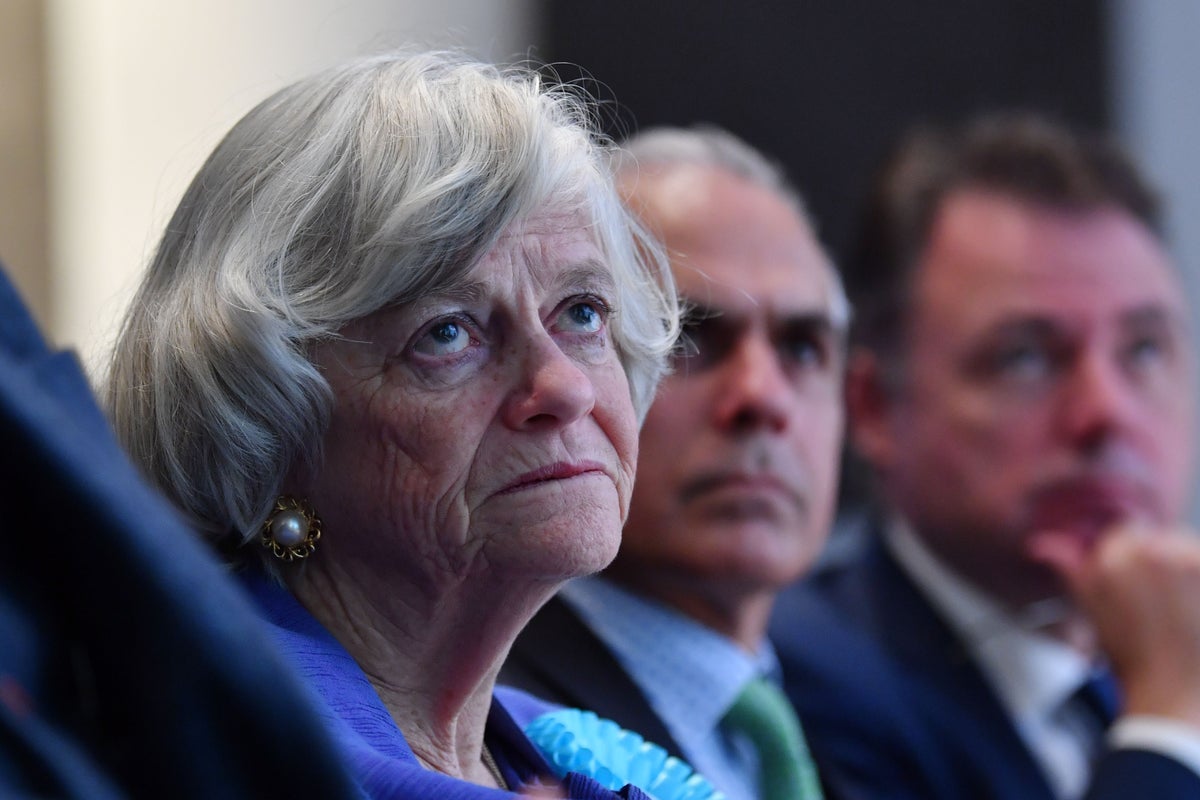 Ann Widdecombe murder latest: Zia Yusuf accuses rival parties of ‘incitement’ following killing of Reform politician
