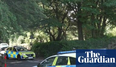 Ann Widdecombe killing: police investigating possible leftwing motivation | UK news