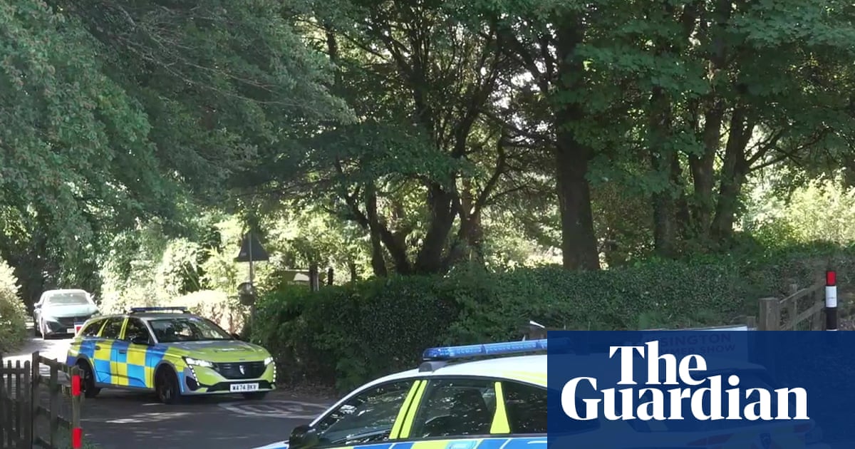 Ann Widdecombe killing: police investigating possible leftwing motivation | UK news