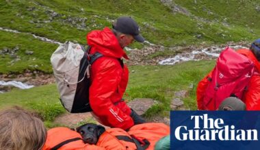 Labrador rescued after ‘eating discarded cannabis’ on Ben Nevis hike | Dogs