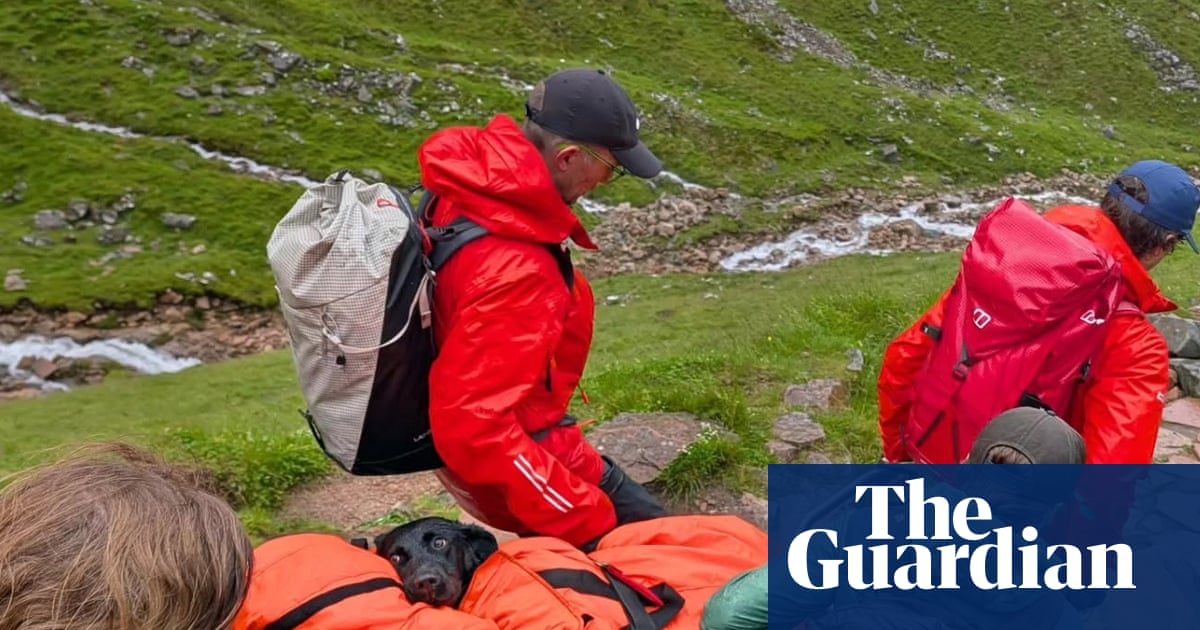Labrador rescued after ‘eating discarded cannabis’ on Ben Nevis hike | Dogs