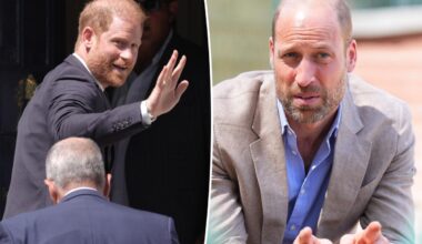 Estranged Prince William and Harry are just miles apart during separate public appearances in London