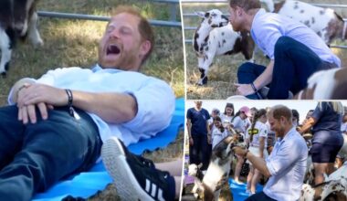 Prince Harry's crown jewels kicked by clumsy goat during trendy yoga session
