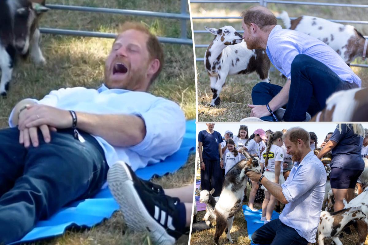 Prince Harry's crown jewels kicked by clumsy goat during trendy yoga session