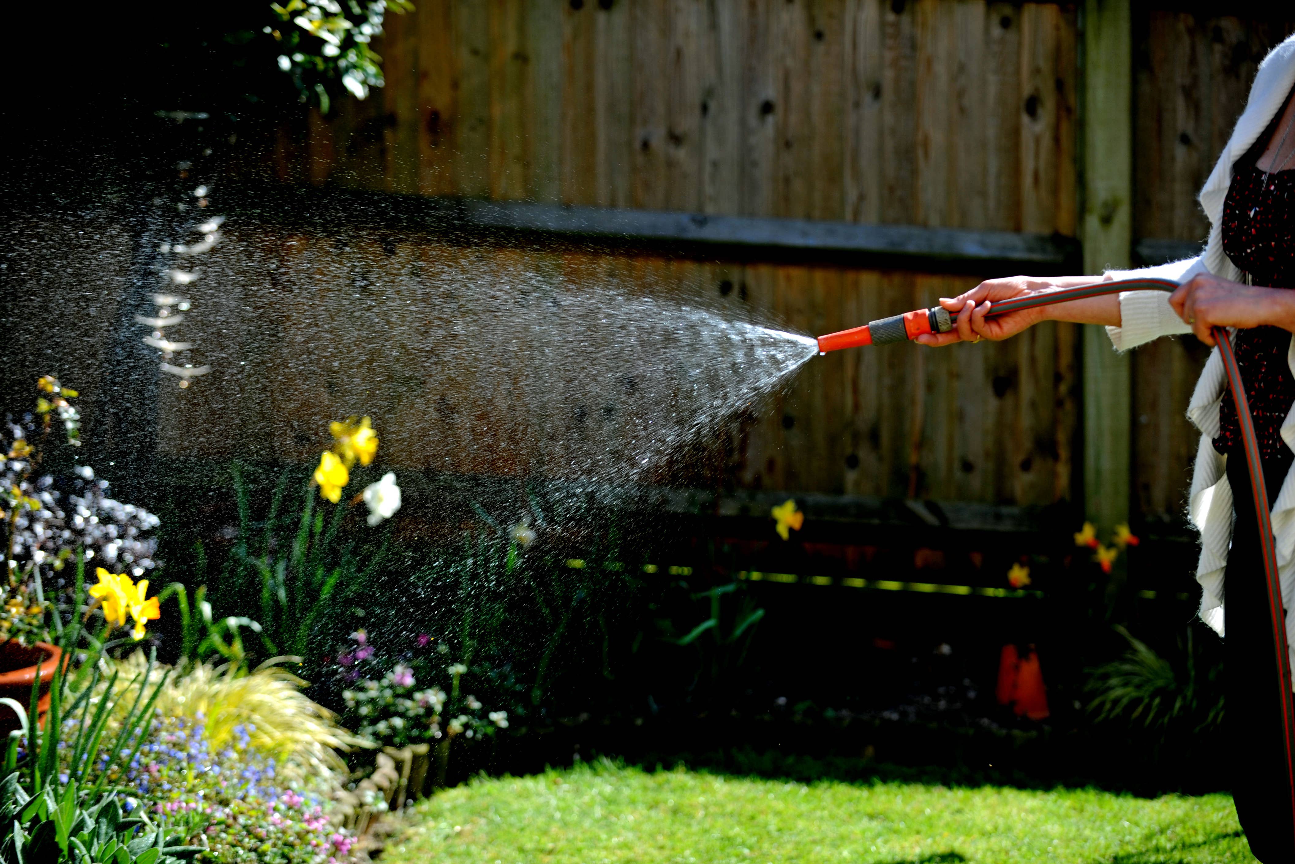 Swathes of the South and East of England are under hosepipe bans but plants bought in the previous 14 days are exempt