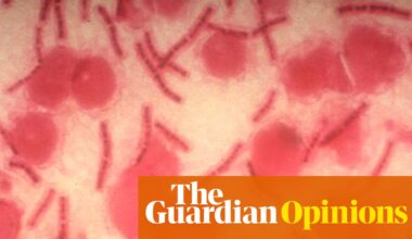AI can fuel biological weapons. We must harness its power for defense | Annie Jacobsen