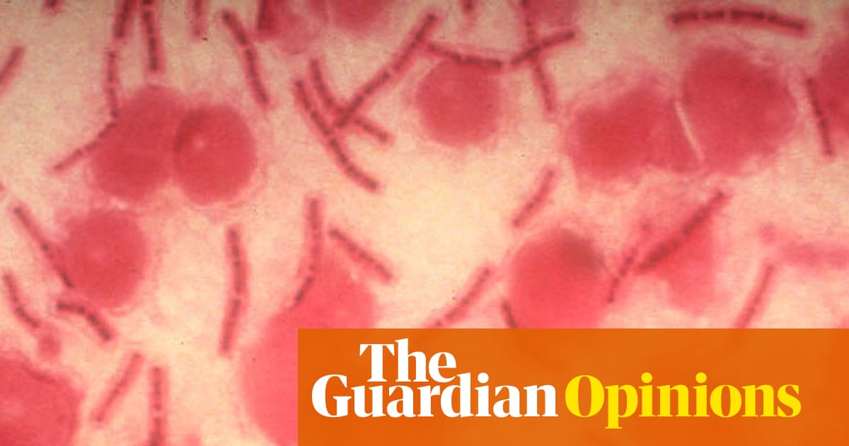 AI can fuel biological weapons. We must harness its power for defense | Annie Jacobsen
