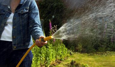 Essex & Suffolk Water issue latest hosepipe ban update