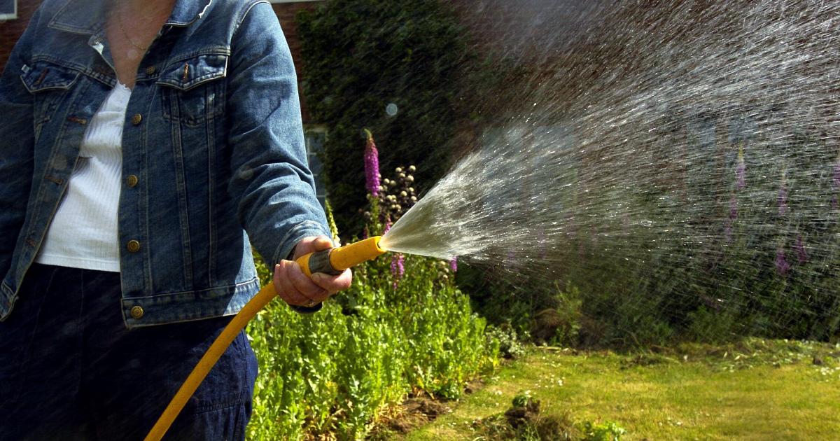Essex & Suffolk Water issue latest hosepipe ban update