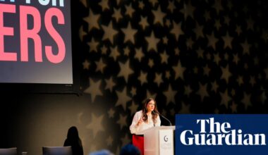 ‘Impossible to be a mom’: new film shines light on how America fails its mothers | US news
