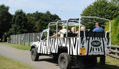 Africa Alive welcomes arrival of two newborn animals