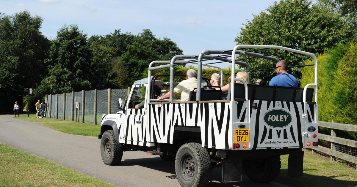 Africa Alive welcomes arrival of two newborn animals