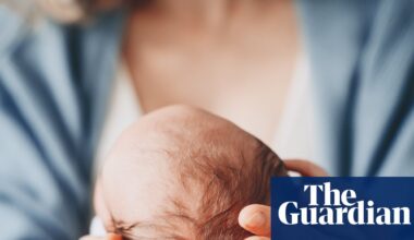 Author of England maternity care review ‘listened to wrong voices’, says adviser | Midwifery