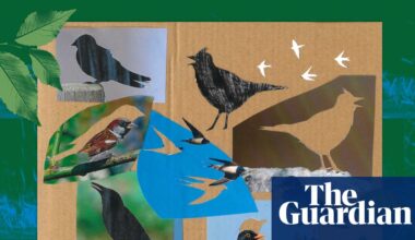 Listen to Britain’s dawn chorus of 1976: the dramatic loss of birdsong in 50 years | Birds
