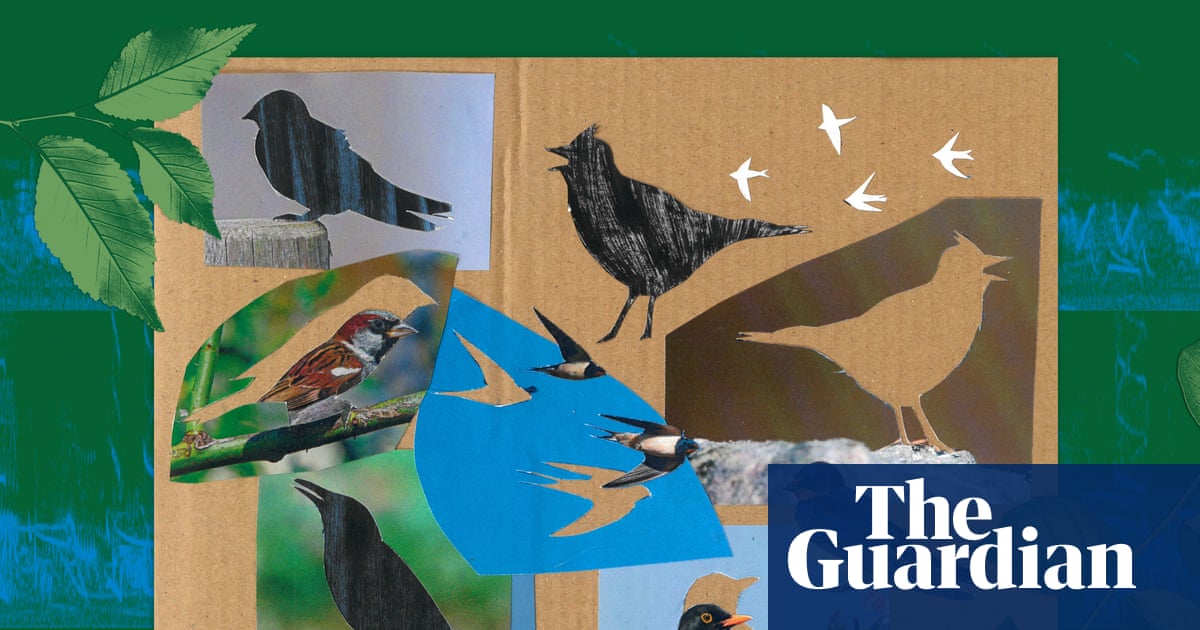 Listen to Britain’s dawn chorus of 1976: the dramatic loss of birdsong in 50 years | Birds