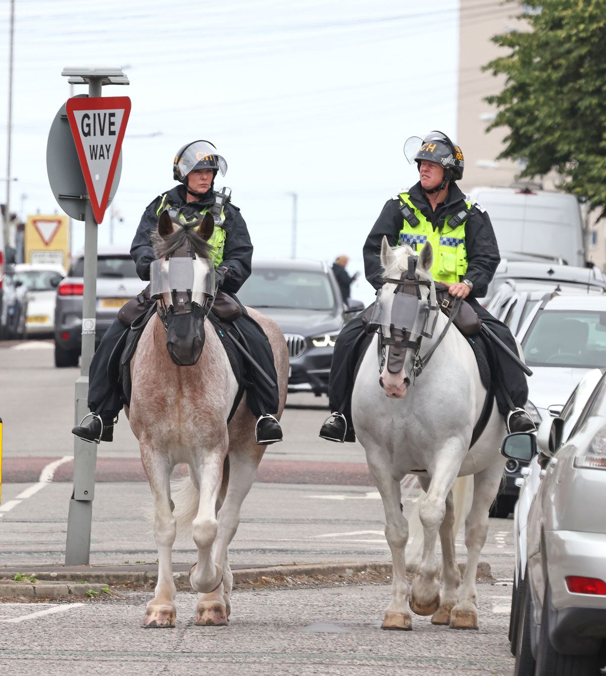 Police horses in visors